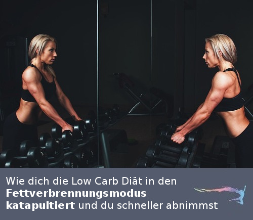 Low Carb Diät Wirkungsweise